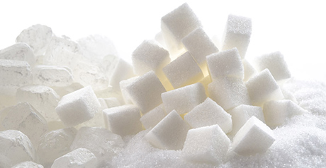 Sugar Processing Specialisation